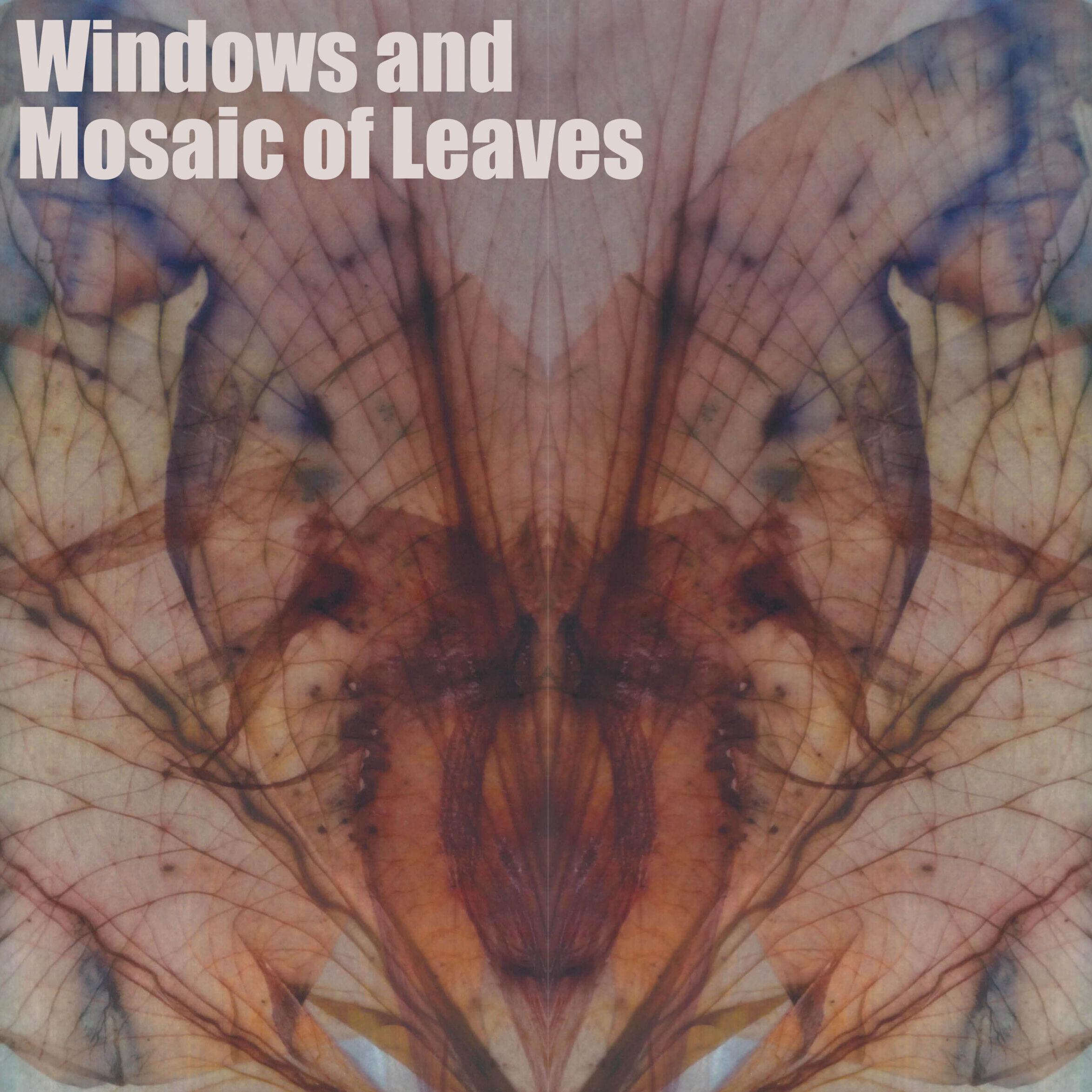 Windows and Mosaic of Leaves_ECOC24