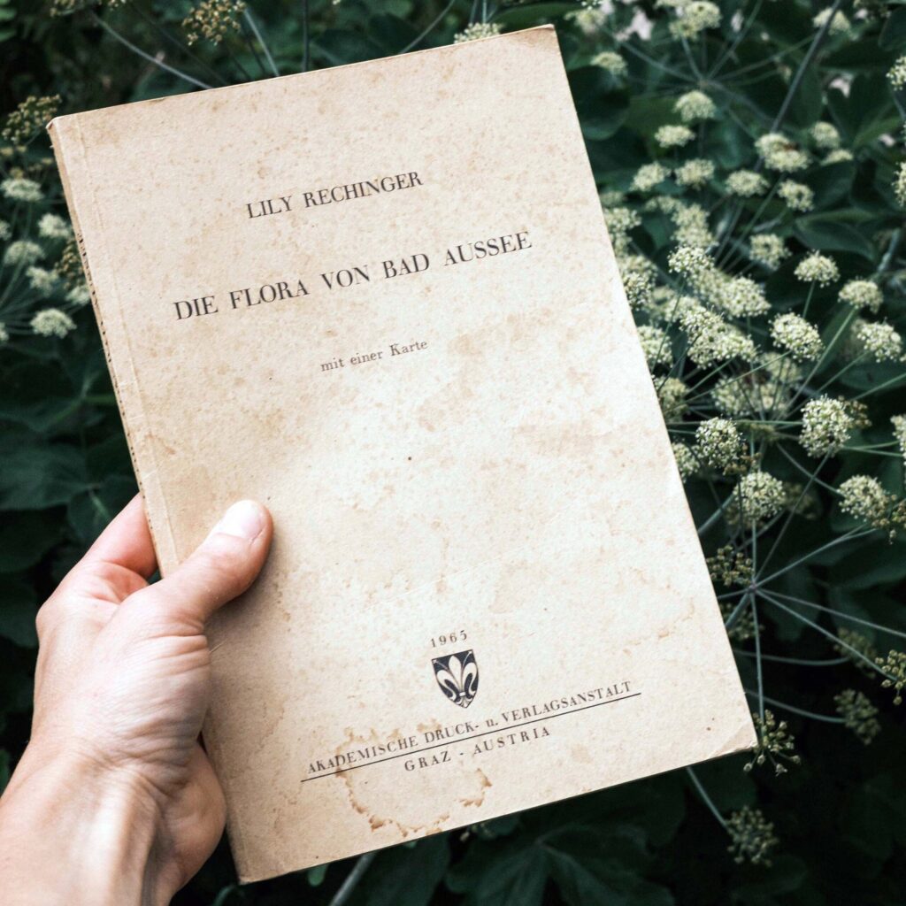 Die Flora von Bad Aussee